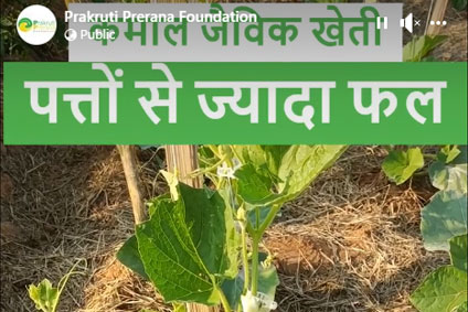 Amazing Organic Farming Model