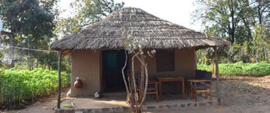 Natural Homes